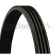 Curea transmisie cu caneluri CONTITECH 4PK924ELAST elastic Fiat Marea Multipla 1.6 09.96- 924mm 4 nervuri