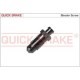 Surub/supapa aerisire frana M10x1,5mm 30mm QUICK BRAKE CADILLAC SEVILLE CHEVROLET IMPALA CHRYSLER 300C FORD RANGER