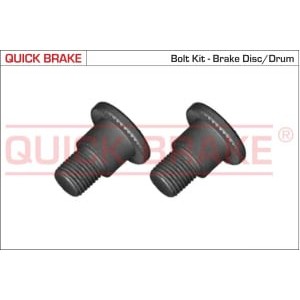 Surub, disc frana QUICK BRAKE